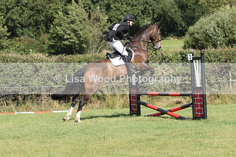 JPP_8945 - Class 2: Trekenning: 80cm Showjumping