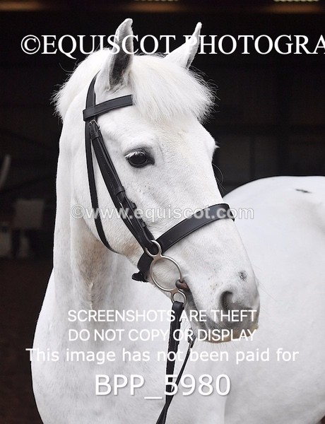 BPP_5980 - Erin Hancock ×2