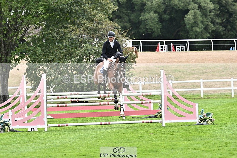 DSC_3850 - FAV_07736708329