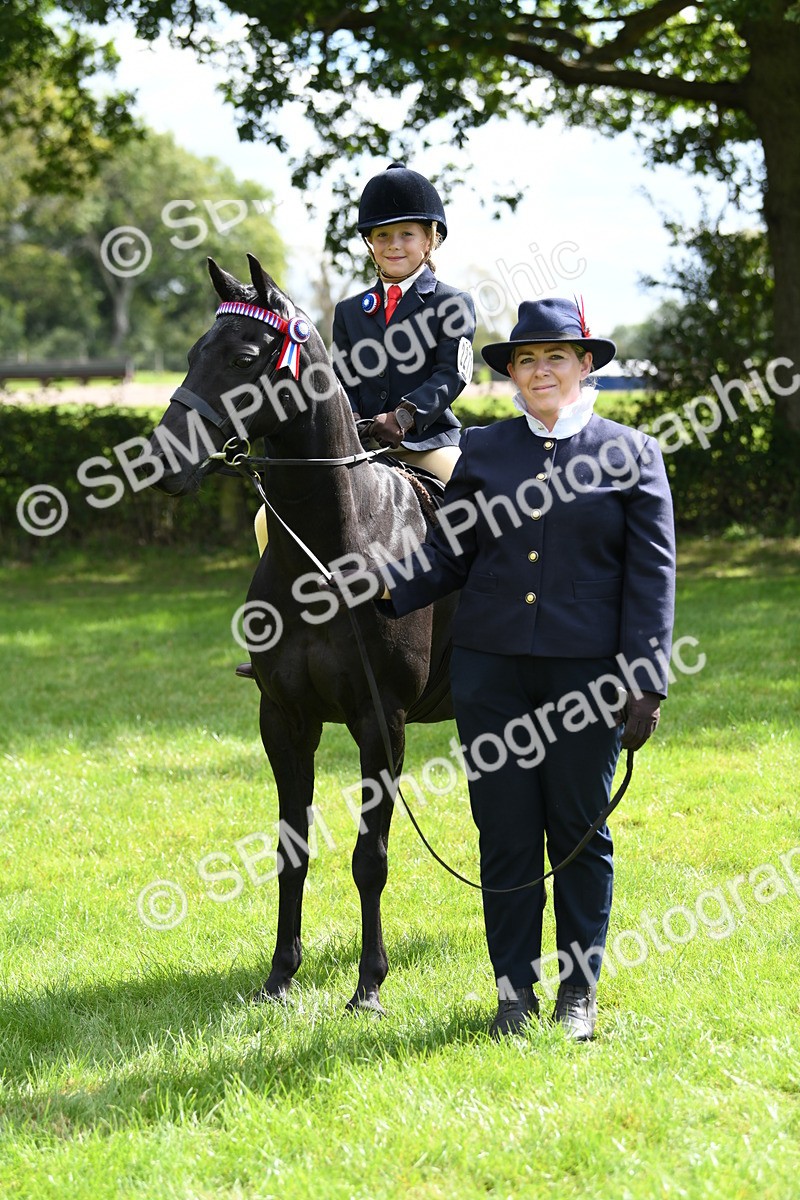 SBM_41184 - S19 - Lead Rein Show & Show Hunter Pony