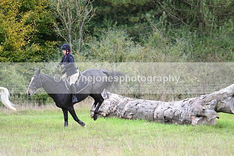 WJ7_3773 - Camera 1 Line 1