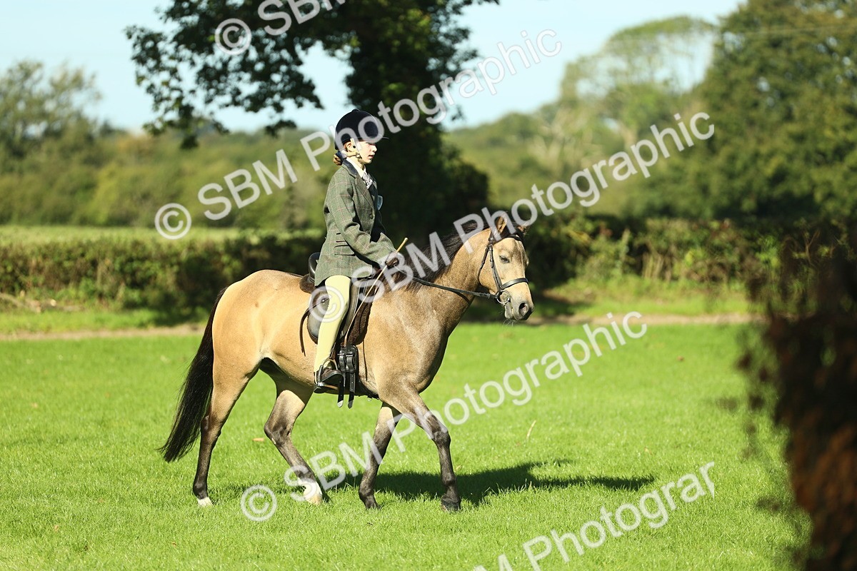 SBM_36490 - S29 - Novice & Newcomers Working Hunter Pony