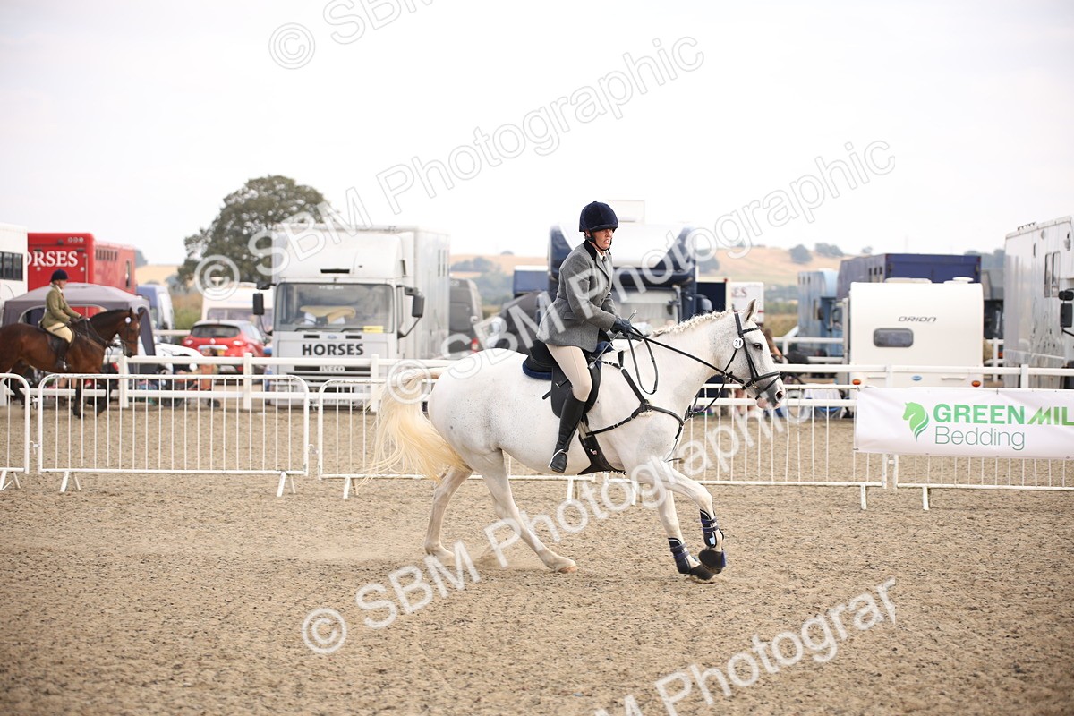 SBM_16065 - Class 408b - Working Veteran 70cm (20+)