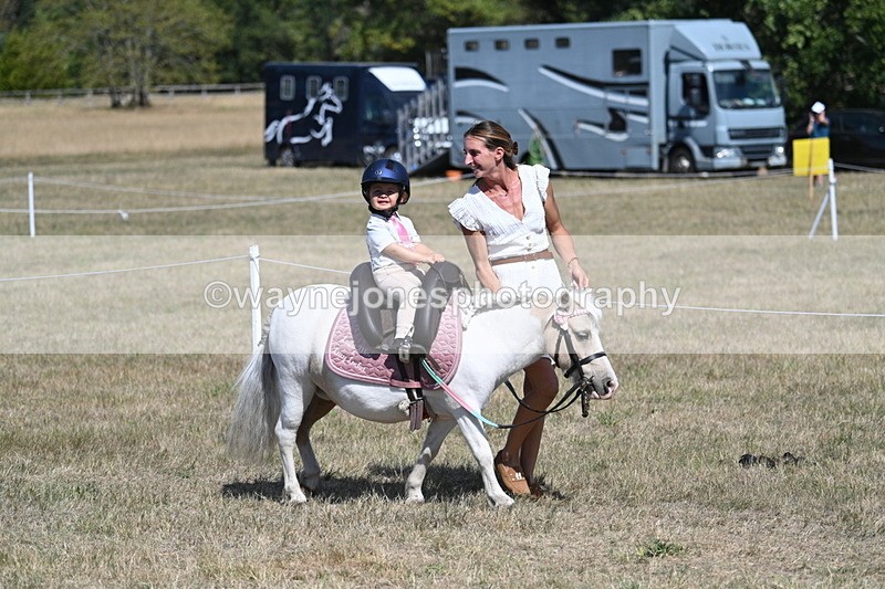 WJ7_1148 - Class 41 Prettiest Mare