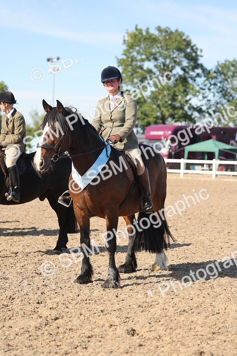 SBM_12428 - Class 304 - Ridden part Bred Horse Pony