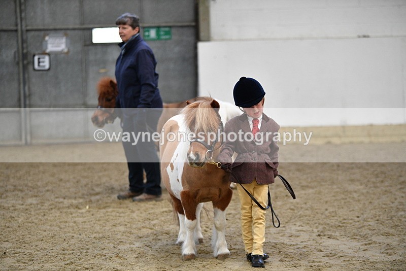 WJ5_5101 - Class 7 In hand coloured / odd coloured