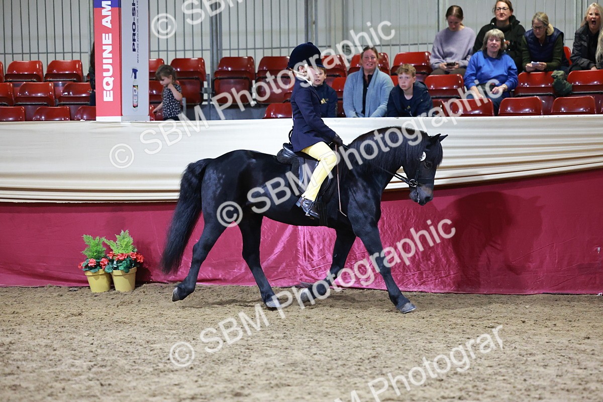 SBM_20550 - Class H - IH Competition - Riding Club champ