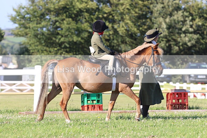 JPP_0704 - Class 16: Cornish Combination Leading Rein