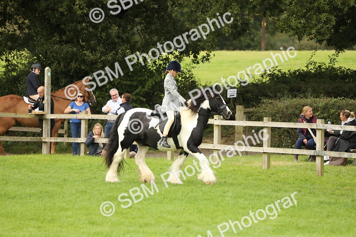 SBM_71671 - S41 - Ridden Equitation (Best Rider)