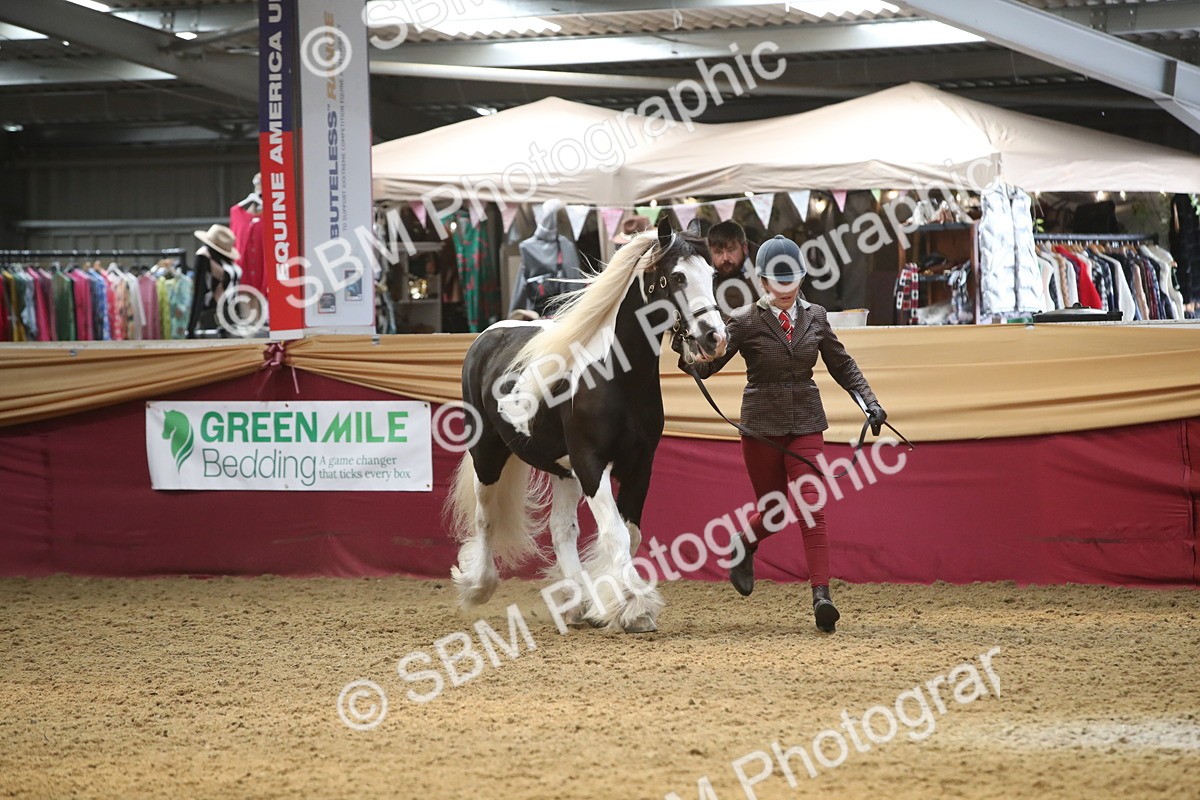 SBM_05646 - Class 9R - Regional IH Pre-Vet