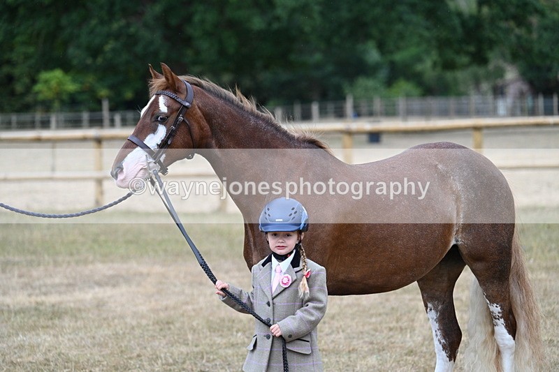 WJ7_9407 - Prettiest Mare Champs