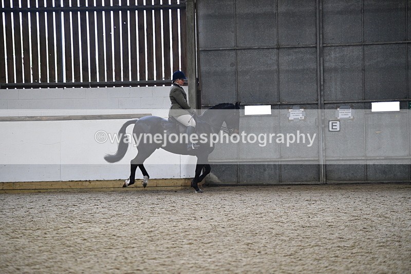 WJ5_7829 - Class 13 Ridden Part Breed