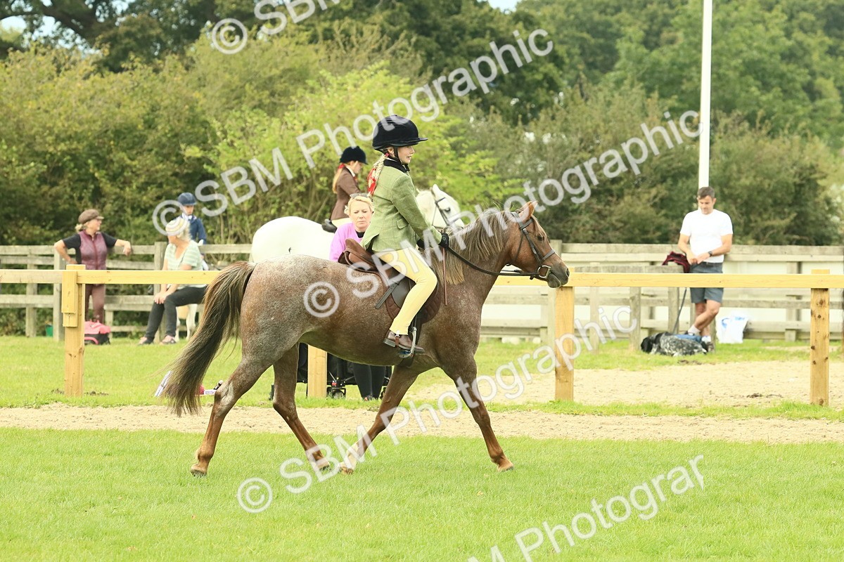 SBM_69951 - S59 - Mountain & Moorland Ridden Small Breeds