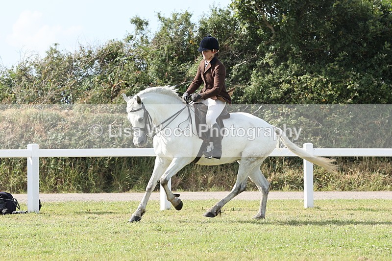 JPP_2990 - Class 20: Working Hunter 70cm