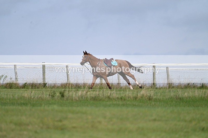 WJ7_7520 - Time 13:21 to 13:29