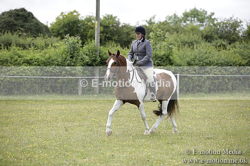 BVR160717-1891 - Ring 1 BVRC Show 16/07/17