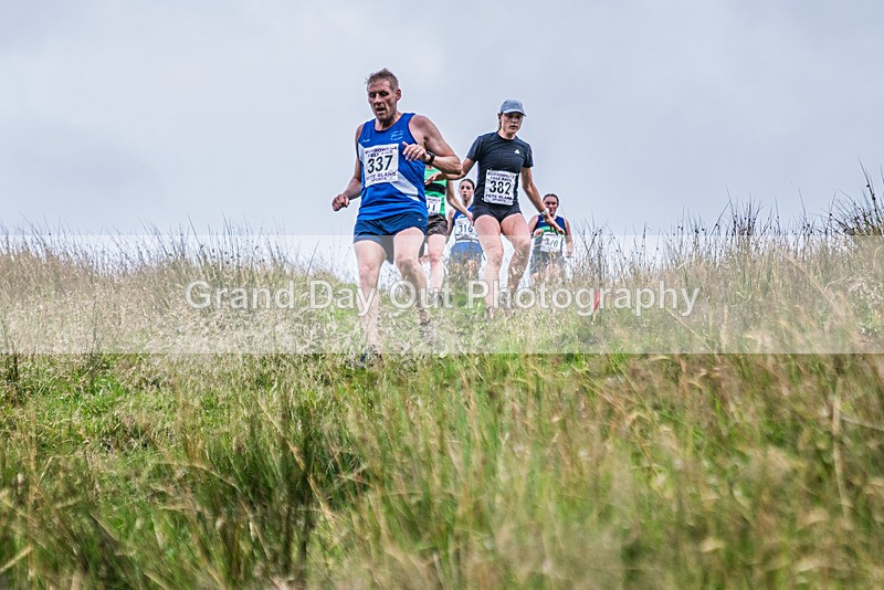 Steel Fell-610 - Steel Fell Race Wednesday 7th August 2024