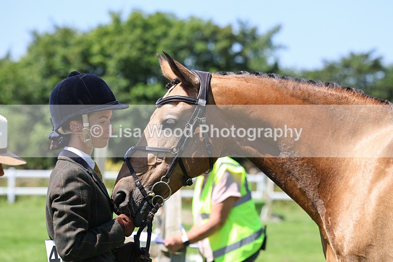 3E7A9070 - Class 6: Open Working Horse