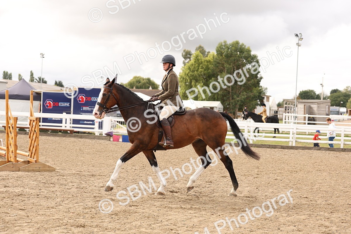 SBM_02828 - Class 53 - Ridden Competition Horse/Pony