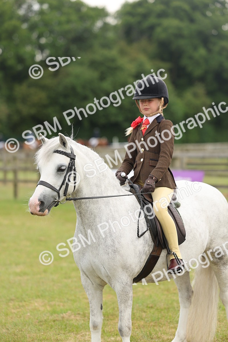 SBM_06887 - Class 74-75 - M&M Lead Rein and First Ridden Pony