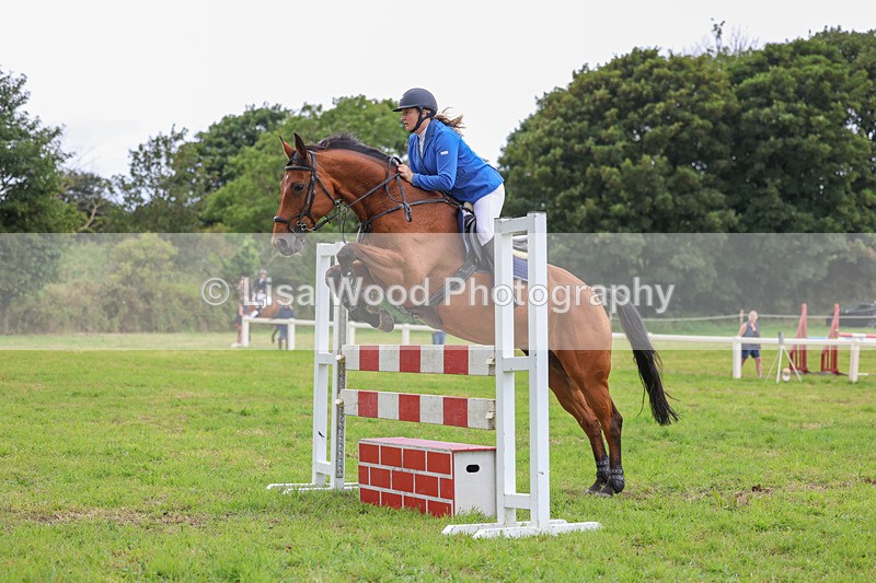 3E7A8154 - Class 7: Senior Newcomers/1.10m open
