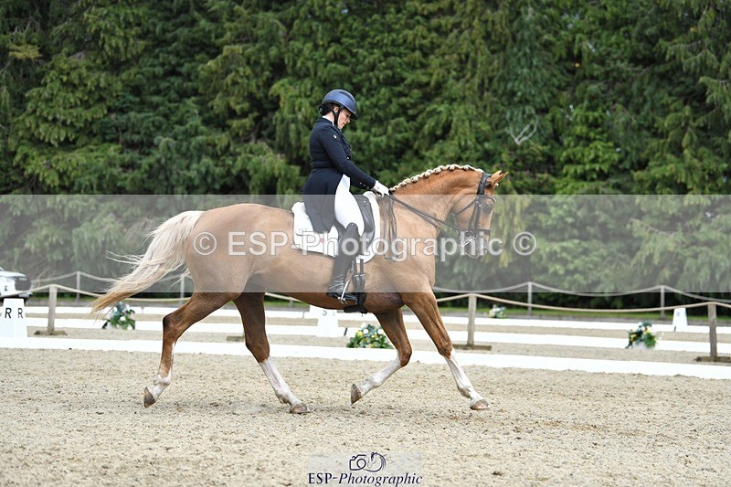 230812-144040-04768 - Cls 7 FEI PSG Bronze