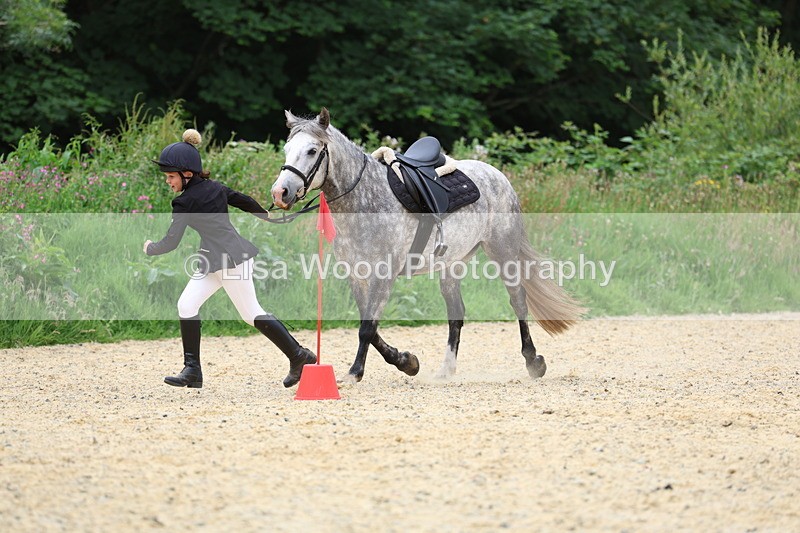 3E7A9593 - Walk trot run