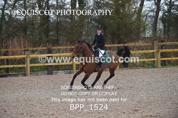 BPP_1524 - CLASS 7 Pony Discovery / 90cm Open