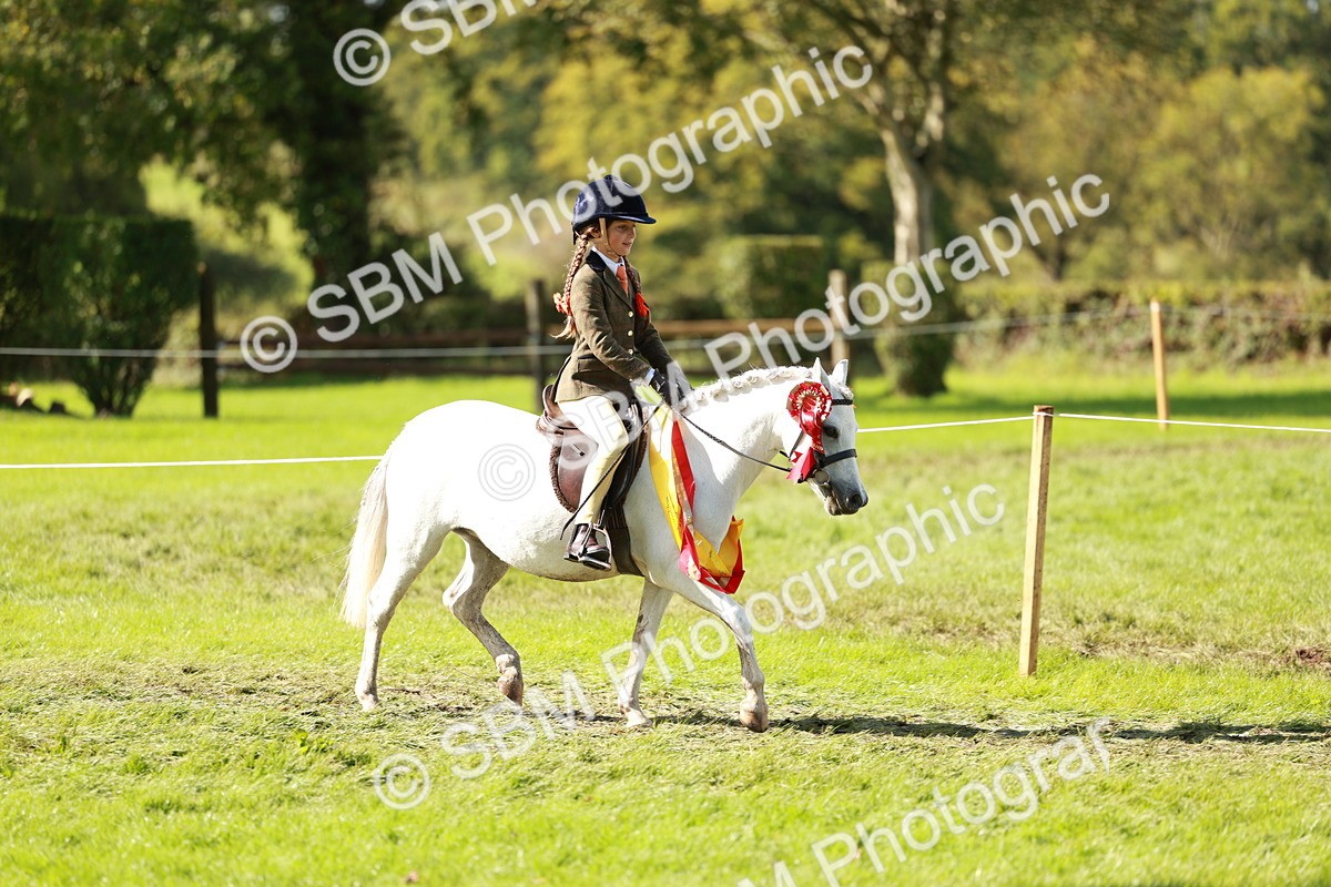 SBM_37633 - Fun Showing Supreme Championship