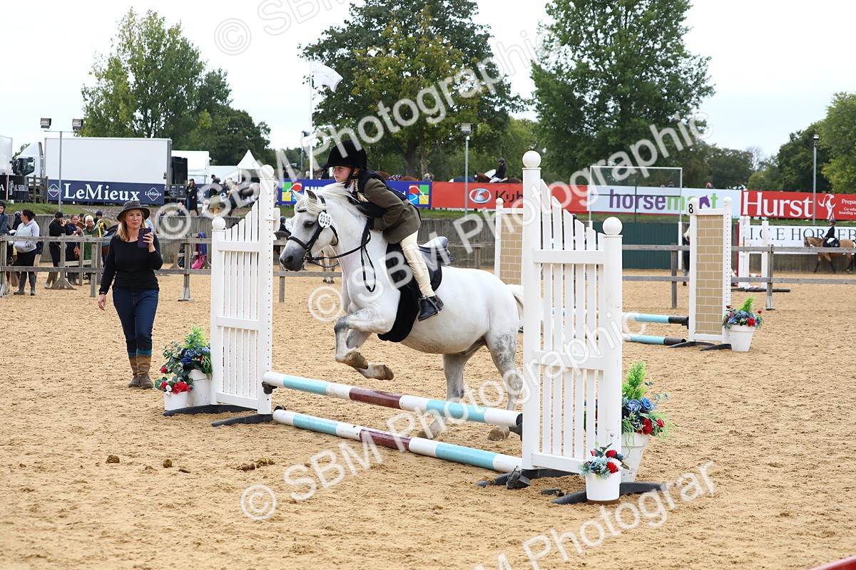 SBM_68128 - J3b - Mini Tour Junior Pony 40cm Championship