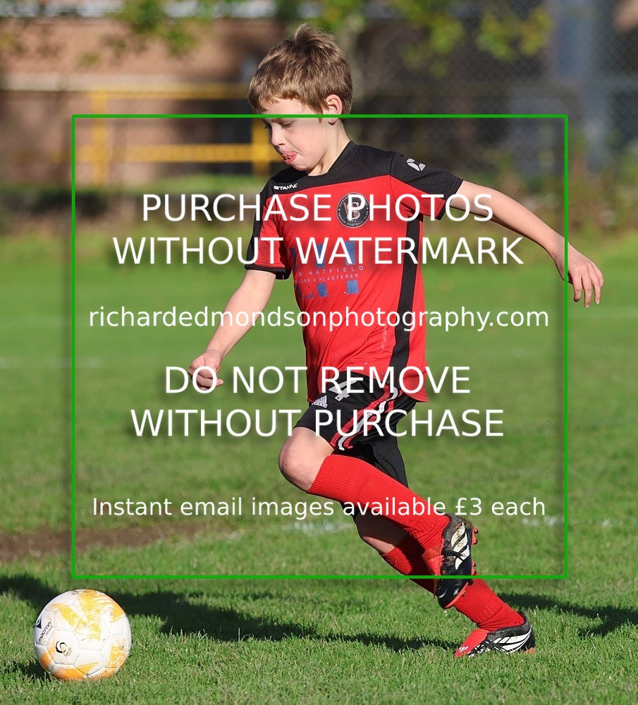 533A4561 - Sedbergh Wanderers Juniors Under 9's (17/10/26)