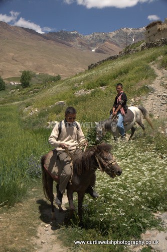 145 - LADAKH - INDIA