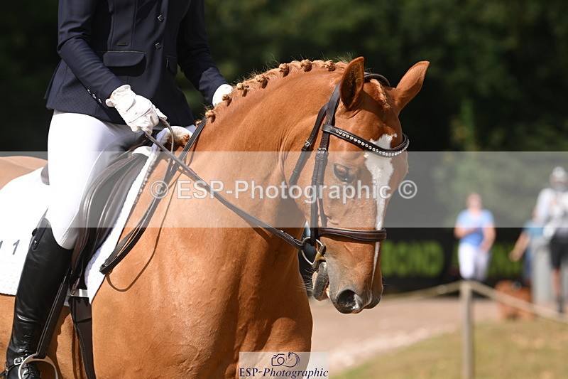 250719A-100057-03219 - 111-Tamsin.Oconnor-Riversides.Caballero