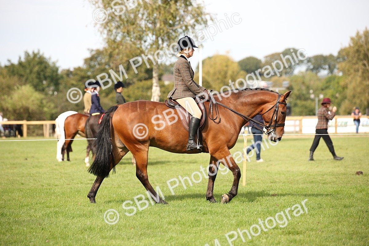 SBM_70354 - S66 - Hunter Ridden
