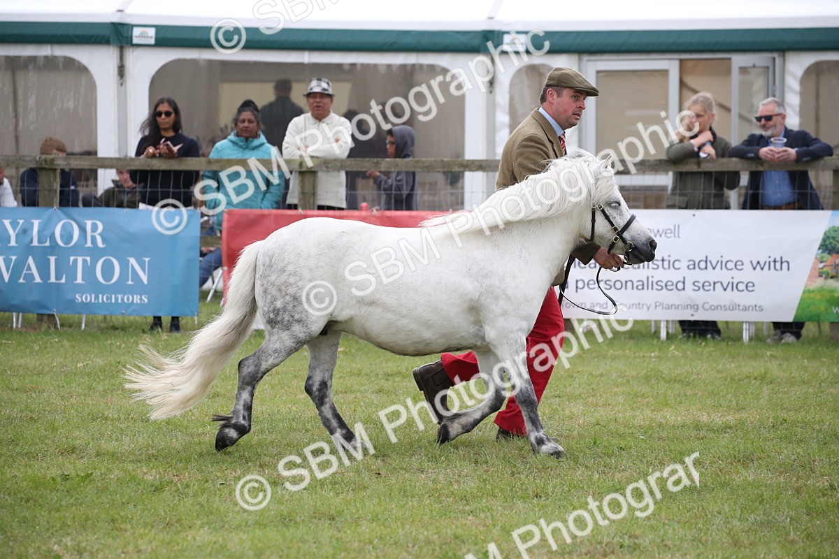 SBM_09824 - Ch 50 - Price Family Supreme In Hand