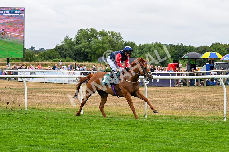 170826-Race 5-Our Absent Friends-9758 - Race 5 16.15pm racingtv.com Handicap