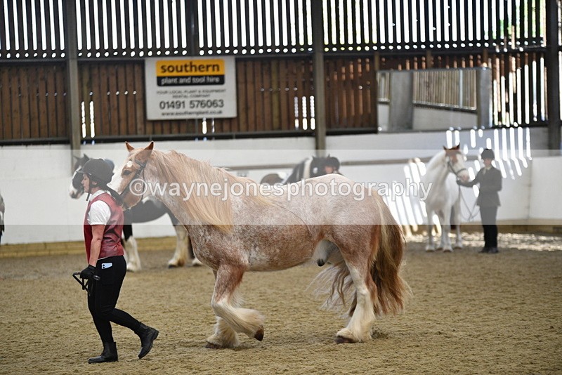 WJ5_4767 - Class 7 In hand coloured / odd coloured