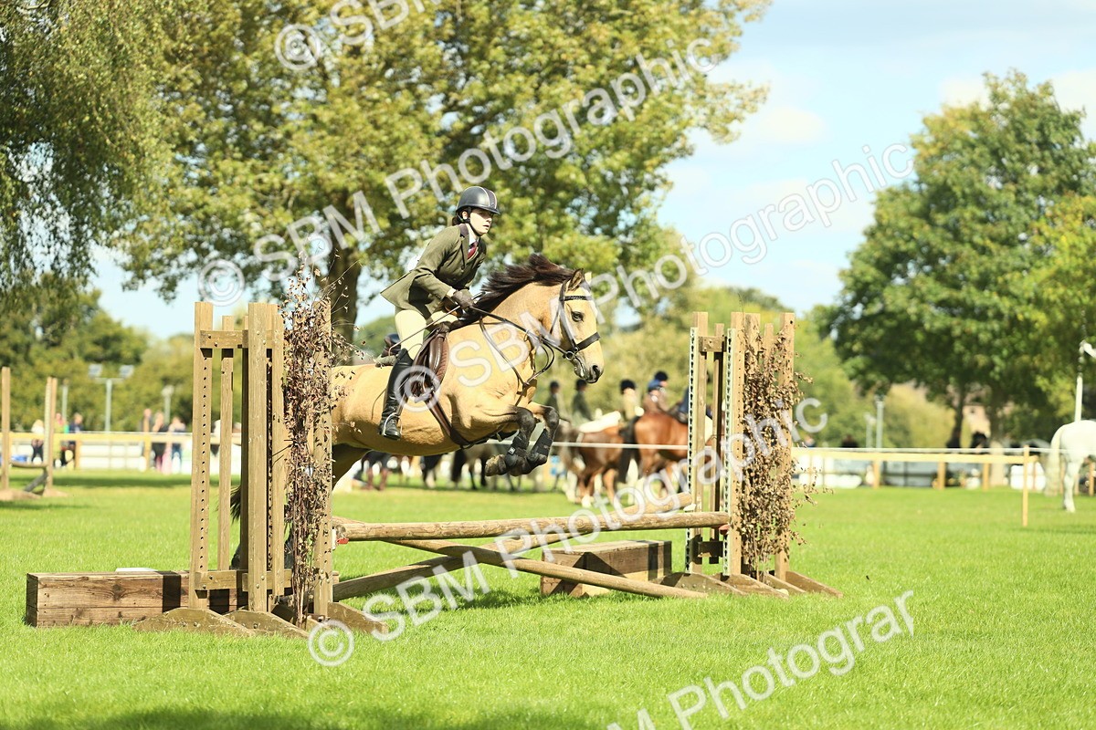 SBM_42849 - S30 - M&M Working hunter Pony