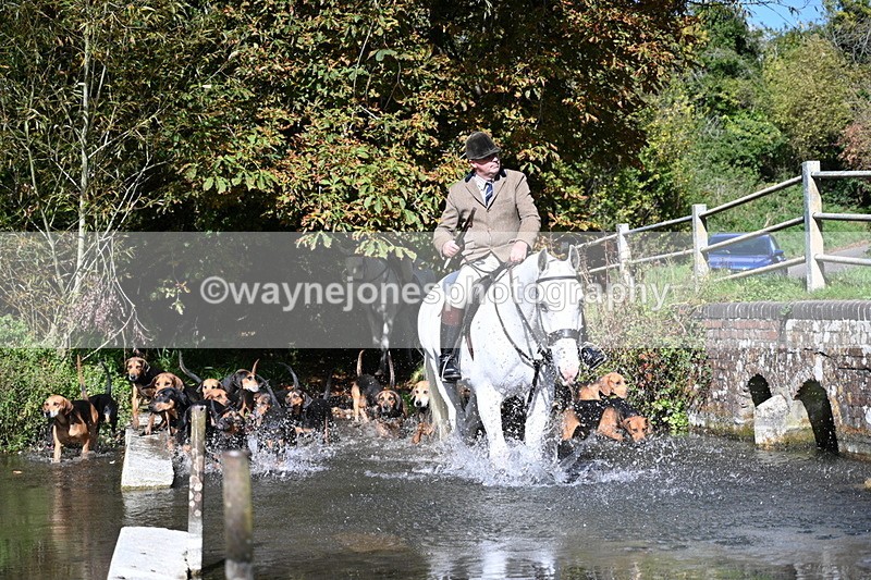 WJ7_5939 - Hounds Water Crossing
