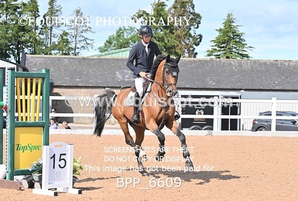 BPP_6609 - CLASS 13 FRI HOYS Talent Seeker Qualifier Inc 7 Year Old Horse Championship Qualifier