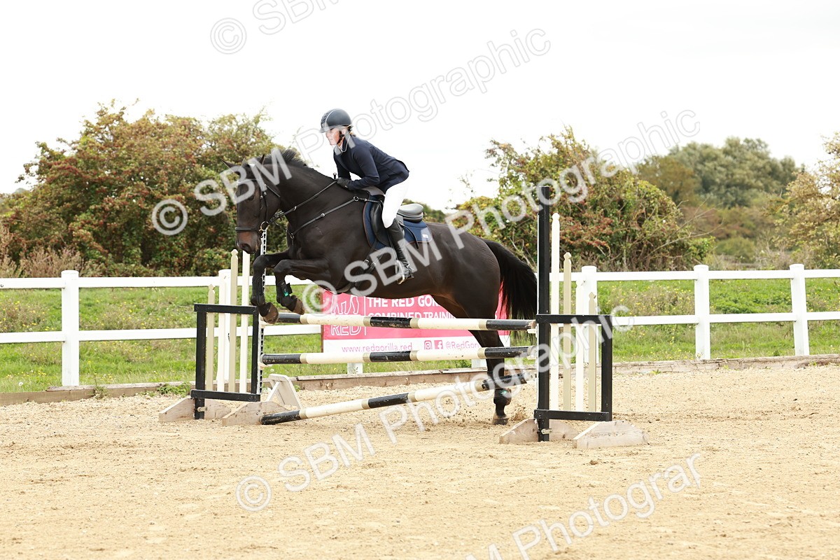 1I0A6908 - Class 2 - Senior British Novice