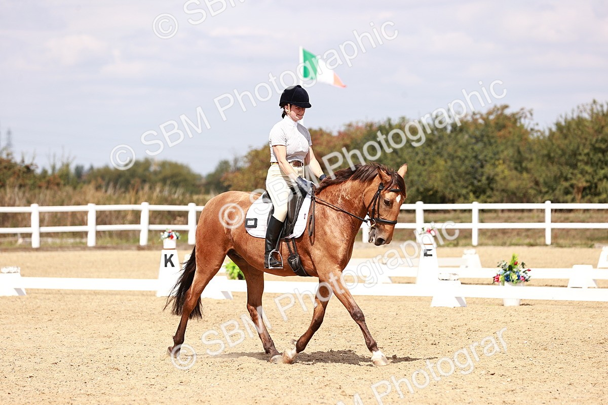 SBM_018551 - Class 17 - Novice 6