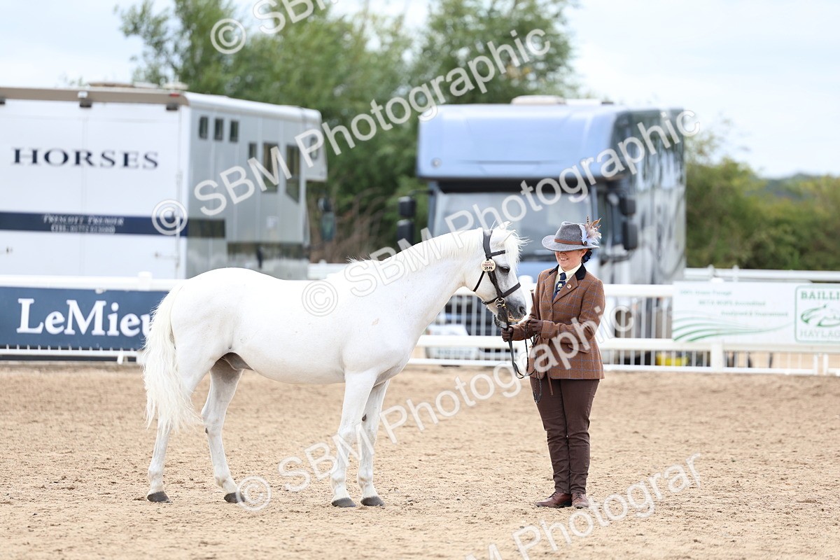 SBM_05888 - Class 29 - IH Veteran Pony