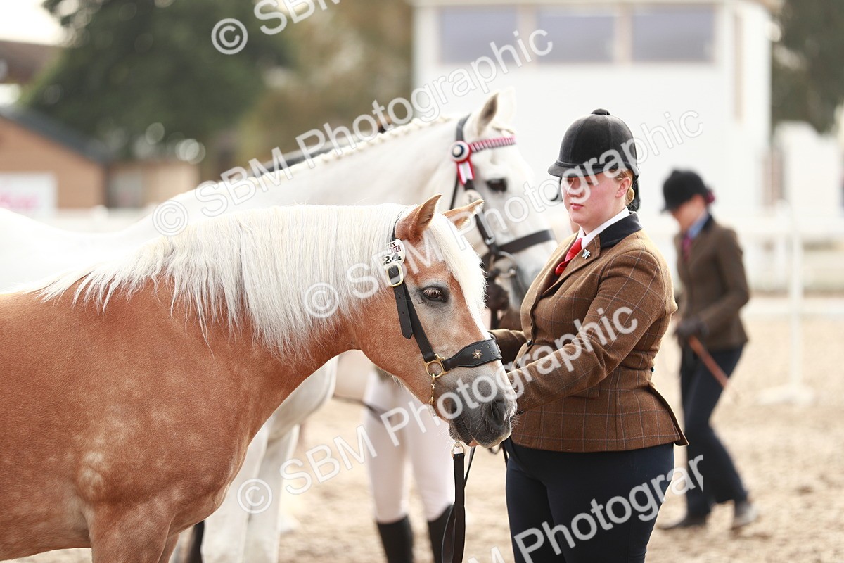 SBM_09554 - Class 201 Best Turned Out IH