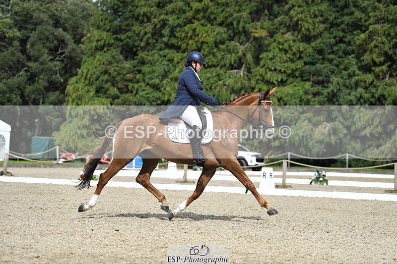 230812-154232-05179 - Cls 10 FEI Inter I Silver