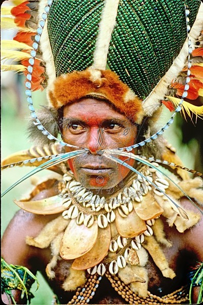 Tribesman - E. Highlands, Papua New Guinea - PEOPLE