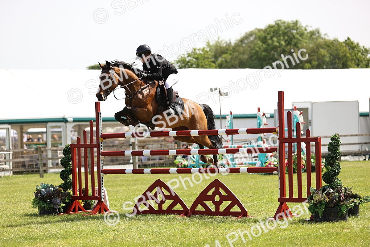 SBM_03988 - Class 201 - British Horse Feedds Speedi Beet HOYS Grade C