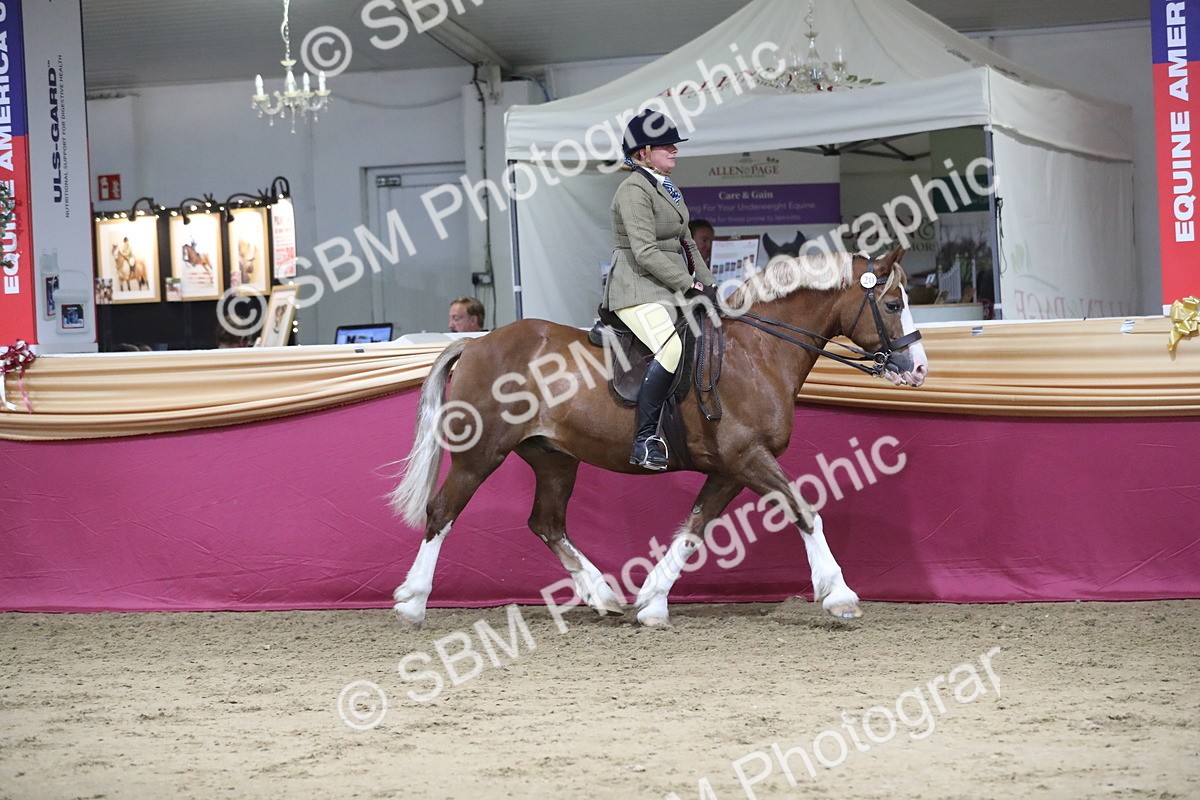 SBM_08518 - Class 11R Regional Ridden Veteran