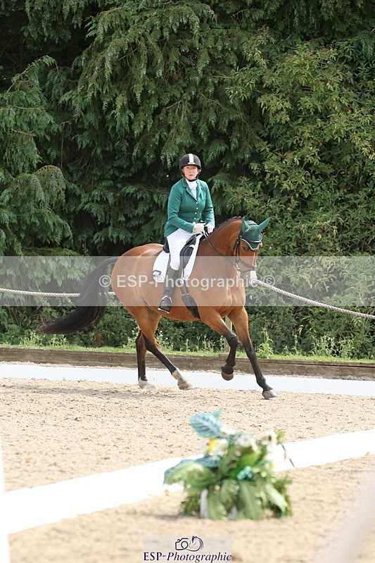 250718A-153012-02583 - 152-Tracy.OKennedy-Wylye.Harlequin