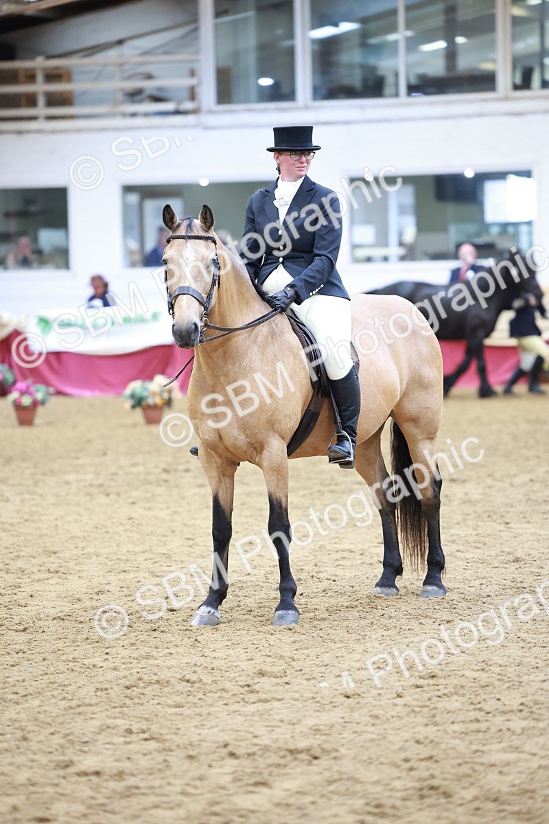 SBM_18792 - Class 952 - M&M Ridden Supreme Final